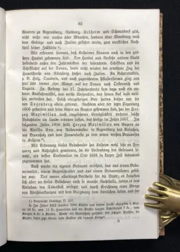 Kurzgefaßte Geschichte der Stadt Kelheim mit 1 Karte und dem Porträt des Königs