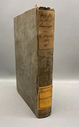 Mayer Geschichte der Stadt Lauingen mit 1 lithogr. Ansicht von Lauingen 1866