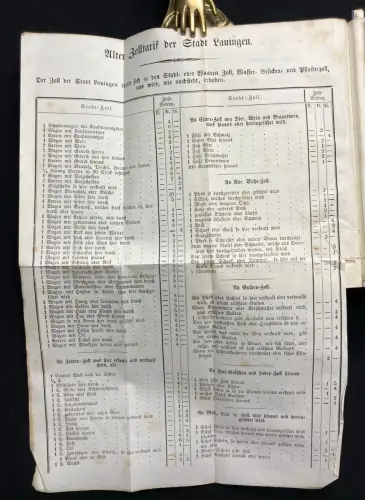 Mayer Geschichte der Stadt Lauingen mit 1 lithogr. Ansicht von Lauingen 1866
