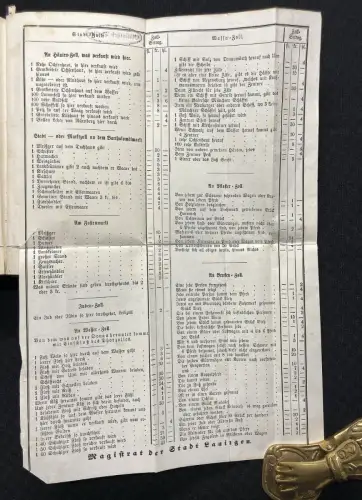 Mayer Geschichte der Stadt Lauingen mit 1 lithogr. Ansicht von Lauingen 1866