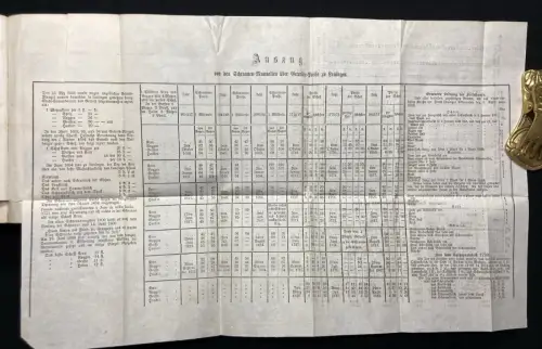 Mayer Geschichte der Stadt Lauingen mit 1 lithogr. Ansicht von Lauingen 1866