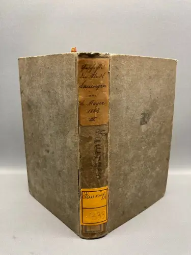 Mayer Geschichte der Stadt Lauingen mit 1 lithogr. Ansicht von Lauingen 1866