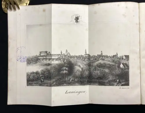 Mayer Geschichte der Stadt Lauingen mit 1 lithogr. Ansicht von Lauingen 1866