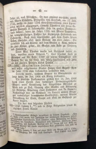 Mayer Geschichte der Stadt Lauingen mit 1 lithogr. Ansicht von Lauingen 1866
