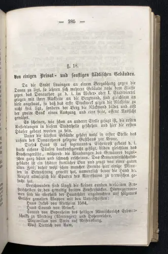 Mayer Geschichte der Stadt Lauingen mit 1 lithogr. Ansicht von Lauingen 1866