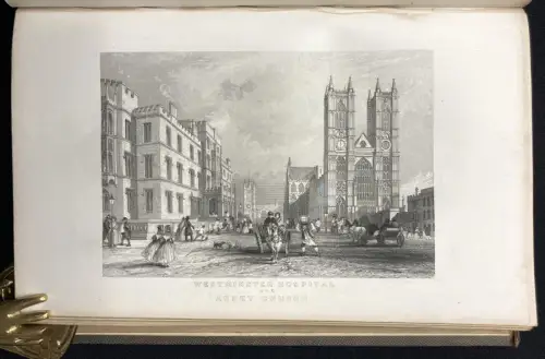 Holmes's Great Metropolis: Or, Views and History of London in the Nineteenth [..