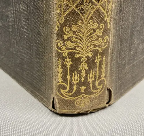 Holmes's Great Metropolis: Or, Views and History of London in the Nineteenth [..