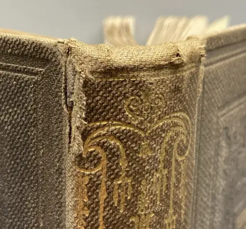 Holmes's Great Metropolis: Or, Views and History of London in the Nineteenth [..