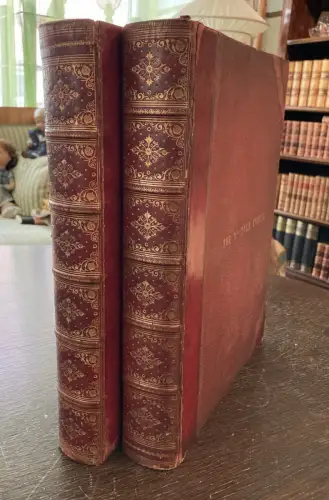 Petter, Galpin and Co. Picturesque Europe: The British Isles 2 Bde. komplett