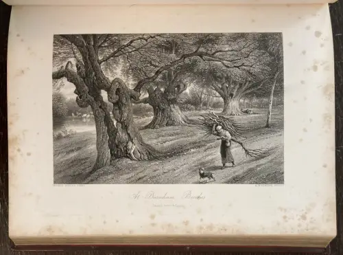 Petter, Galpin and Co. Picturesque Europe: The British Isles 2 Bde. komplett