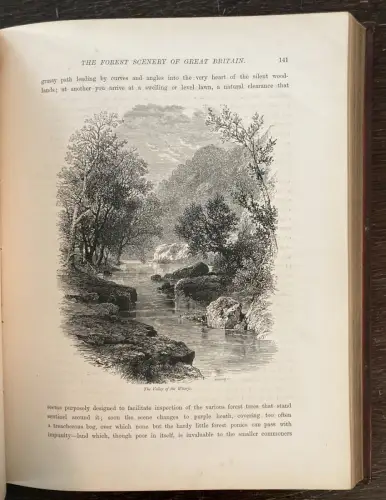 Petter, Galpin and Co. Picturesque Europe: The British Isles 2 Bde. komplett