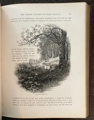 Petter, Galpin and Co. Picturesque Europe: The British Isles 2 Bde. komplett