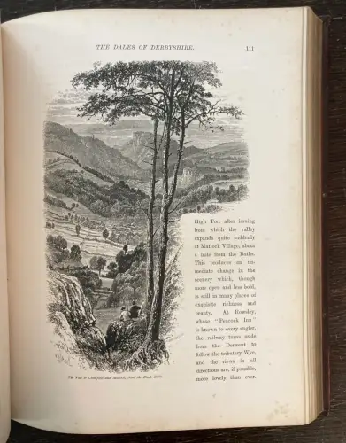 Petter, Galpin and Co. Picturesque Europe: The British Isles 2 Bde. komplett