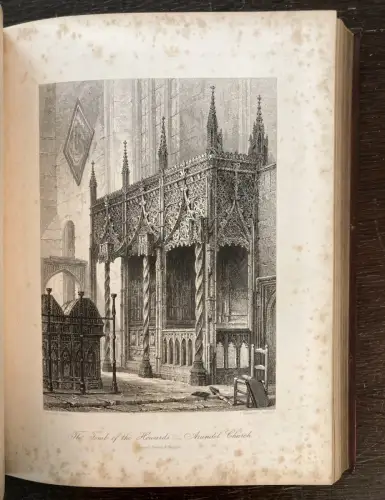 Petter, Galpin and Co. Picturesque Europe: The British Isles 2 Bde. komplett