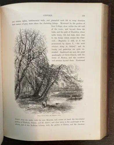 Petter, Galpin and Co. Picturesque Europe: The British Isles 2 Bde. komplett