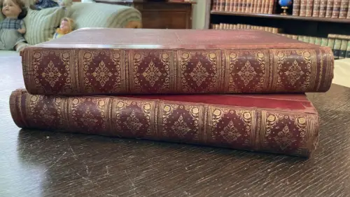 Petter, Galpin and Co. Picturesque Europe: The British Isles 2 Bde. komplett