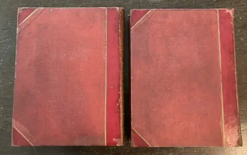 Petter, Galpin and Co. Picturesque Europe: The British Isles 2 Bde. komplett