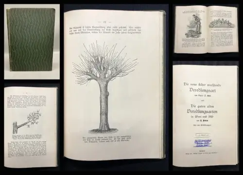 Betten Die neue sicher wachsende Veredlungsart und Die guten alten Veredlungsart