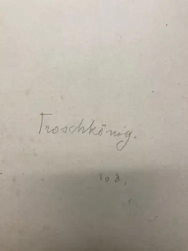 Der Froschkönig No.3 Märchen Aquarell /Tusche um 1900,Gebrüder Grimm