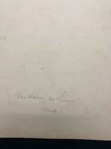 Das Wasser des Lebens No.3 Märchen Aquarell /Tusche um 1900,Gebrüder Grimm