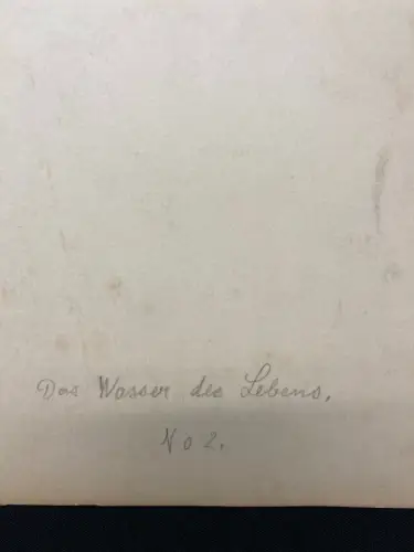 Das Wasser des Lebens No.2 Märchen Aquarell /Tusche um 1900,Gebrüder Grimm