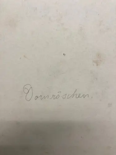 Schreyer, Bernhard, Oskar Franz Dornröschen Märchen Aquarell um 1900 Grimm