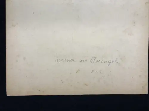 Schreyer, Oskar Jorinde und Joringel No.2 Aquarell um 1900 Märchen, Gebr.Grimm