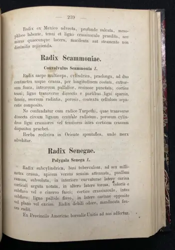 Pharmacopoea Germaniae. Editio Altera 1867 Arznei, Medizin, Pharmaindustrie