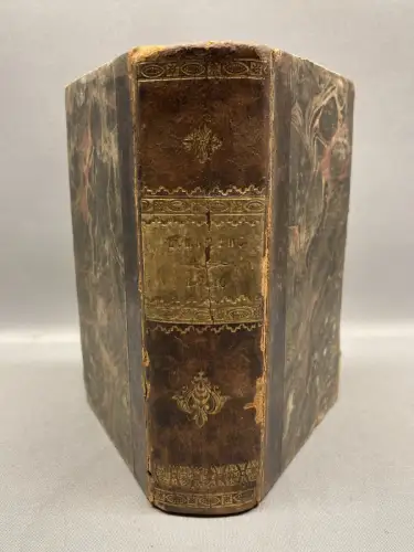 Taschenbuch zur Geschichte verfallener Ritterburgen und Schlösser 2 Bde. in 1