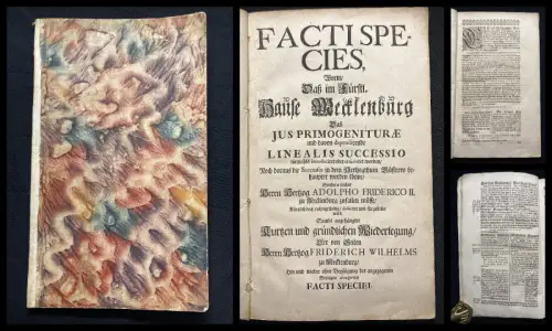 Facti Species, worin, Daß im Fürstl. Hause Meckelenburg Das Jus Primogeniturae