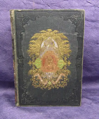 Pierre Paul Et Virginie 1845 100 Vignetten bei Bertall Liebesgeschichte js