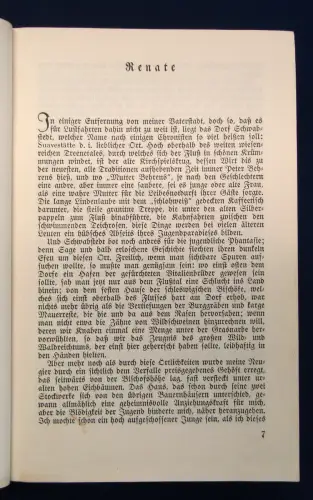Theodor Storm Sämtliche Werke in 2 Bänden um 1920 Klassiker Belletristik js