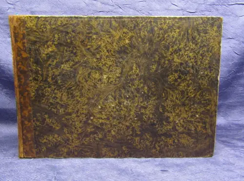 Meyers Universum Sehenswerthesten und Merkwürdigkeiten 10.Bd Stahlstich 1843 js 