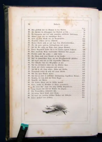 Johannot Die Reise ins Blaue von Plinius dem Jüngsten 1846 Frontispiz  js