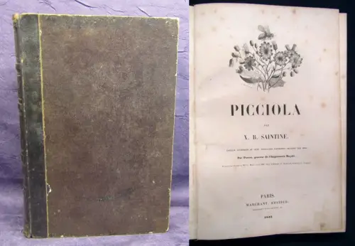 Saintine Picciola mit 150 Abbildungen von Porret 1843 Belletristik Geschichte js