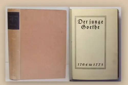 Stein Der junge Goethe 1924 1. Bd Klassiker Weltliteratur Belletristik xy
