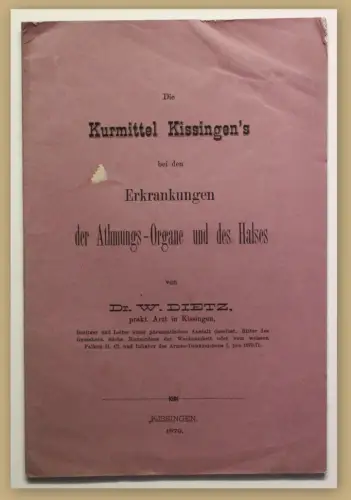 Orig. Prospekt Die Kurmittel Kissingen's bei Erkrankungen 1879 Bayern Medizin sf
