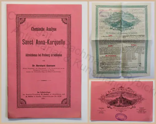 Kosmann Chemische Annalyse der Sanct Anna-Kurquelle Altreichenau Schlesien 1888