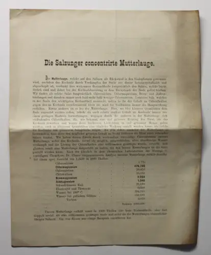Original Prospekt Die Salzunger concentrirte Mutterlauge Kurort Thüringen 1878