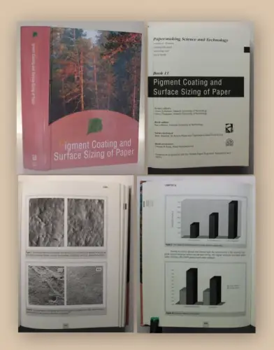 Lehtinen Pigment Coating and Surface Sizing of Paper Books 11 2000 Technik xy