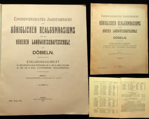 41.Jahresbericht des Kgl. Realgymnasiums zu Döbeln Einladungsschrift 1910 js