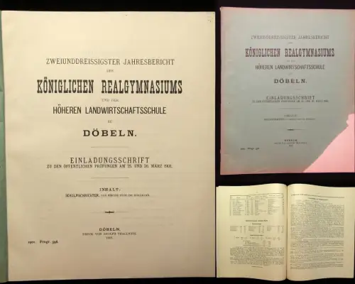 32.Jahresbericht des Kgl. Realgymnasiums zu Döbeln Einladungsschrift 1901 js