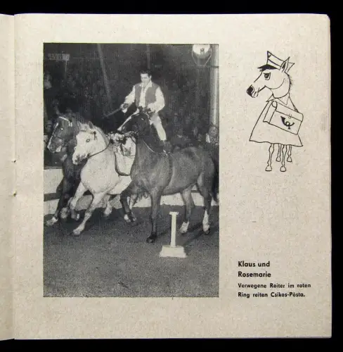 Or. Prospekt/ Programmheft Zirkus Busch 1966 Unterhaltung Künstler Show