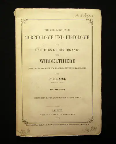 Hasse Morphologie u Histologie des häutigen Gehörorganes d. Wirbelthiere 1873 mb
