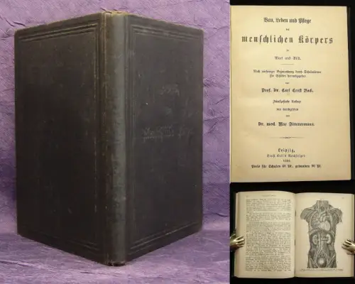 Bock Bau,Leben und Pflege des menschlichen Körpers in Wort und Bild 1884 js