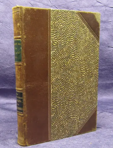 Ruhemann Kennst du das Land? Die pontinischen Sümpfe 1900 Ortskunde  js