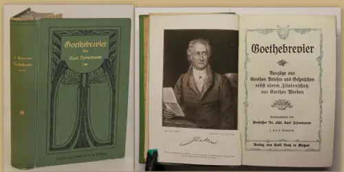 Heinemann Goethebrevier 1905 Belletristik Klassiker Literatur Briefe Gespräch sf