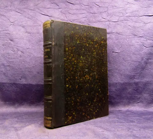 Lemcke Populaere Aesthetik 1879 61 Illustrationen Geschichte Gesellschaft mb