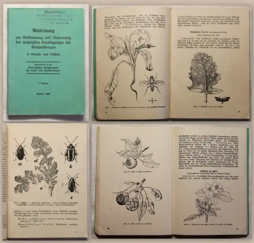 Bestimmung & Bewertung der wichtigsten Schädigungen der Kulturpflanzen 1939 xy