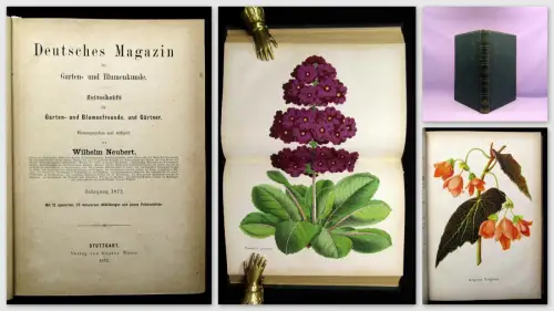 Neubert Deutsches Magazin für Garten-u. Blumenkunde Zeitschrift 1872